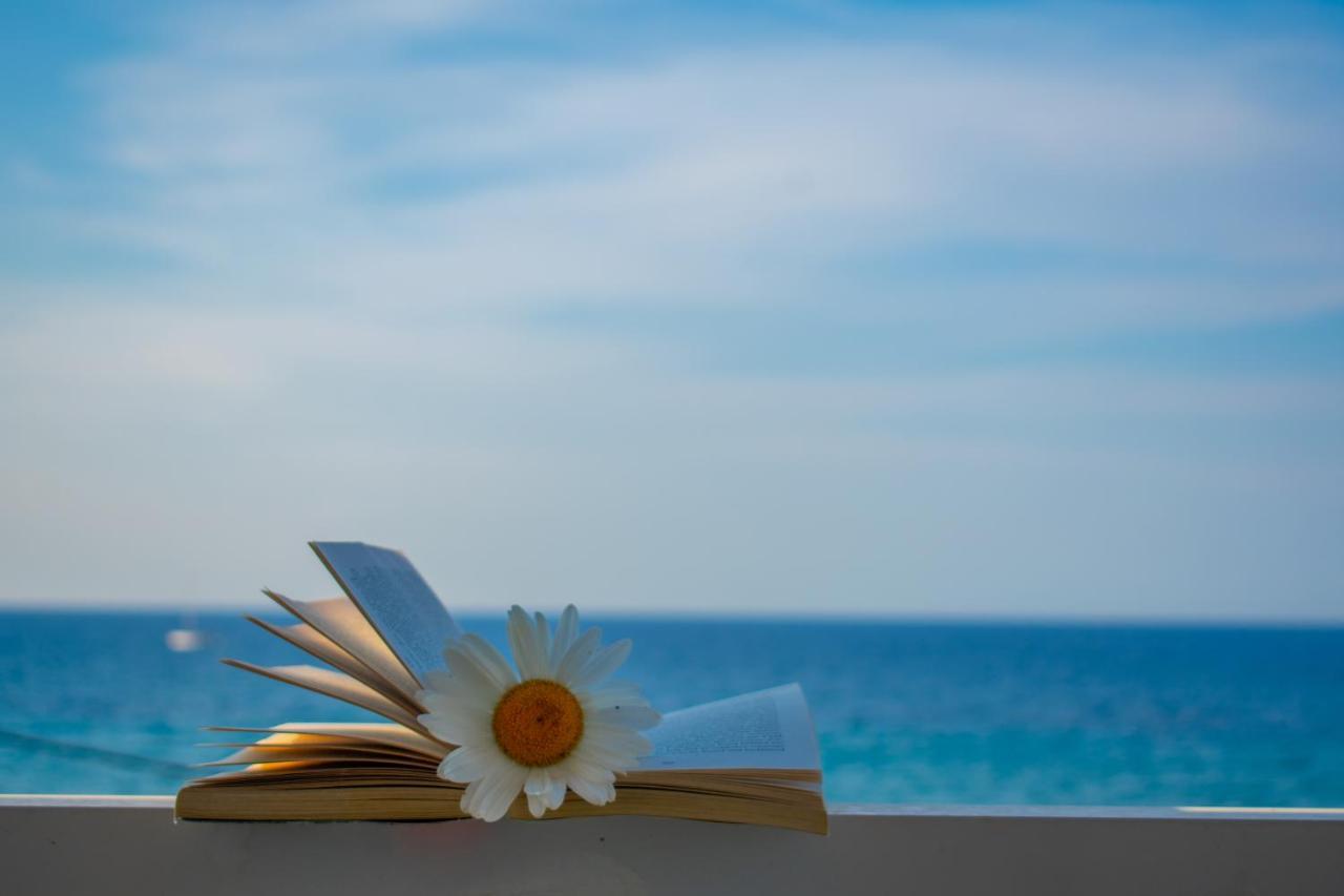 Standard double or twin studio, sea view,1160675238:JPEG